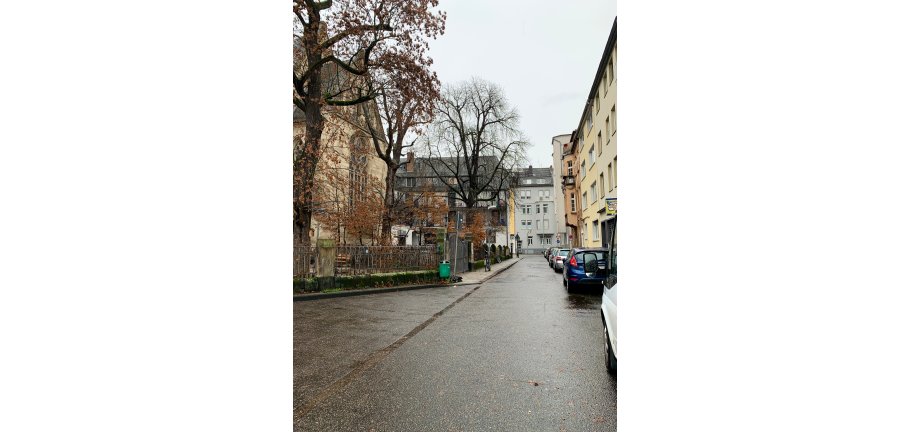 Von-Werth-Straße Einfahrt in die Von-Werth-Straße, in der am rechten Seitenrand Autos parken.