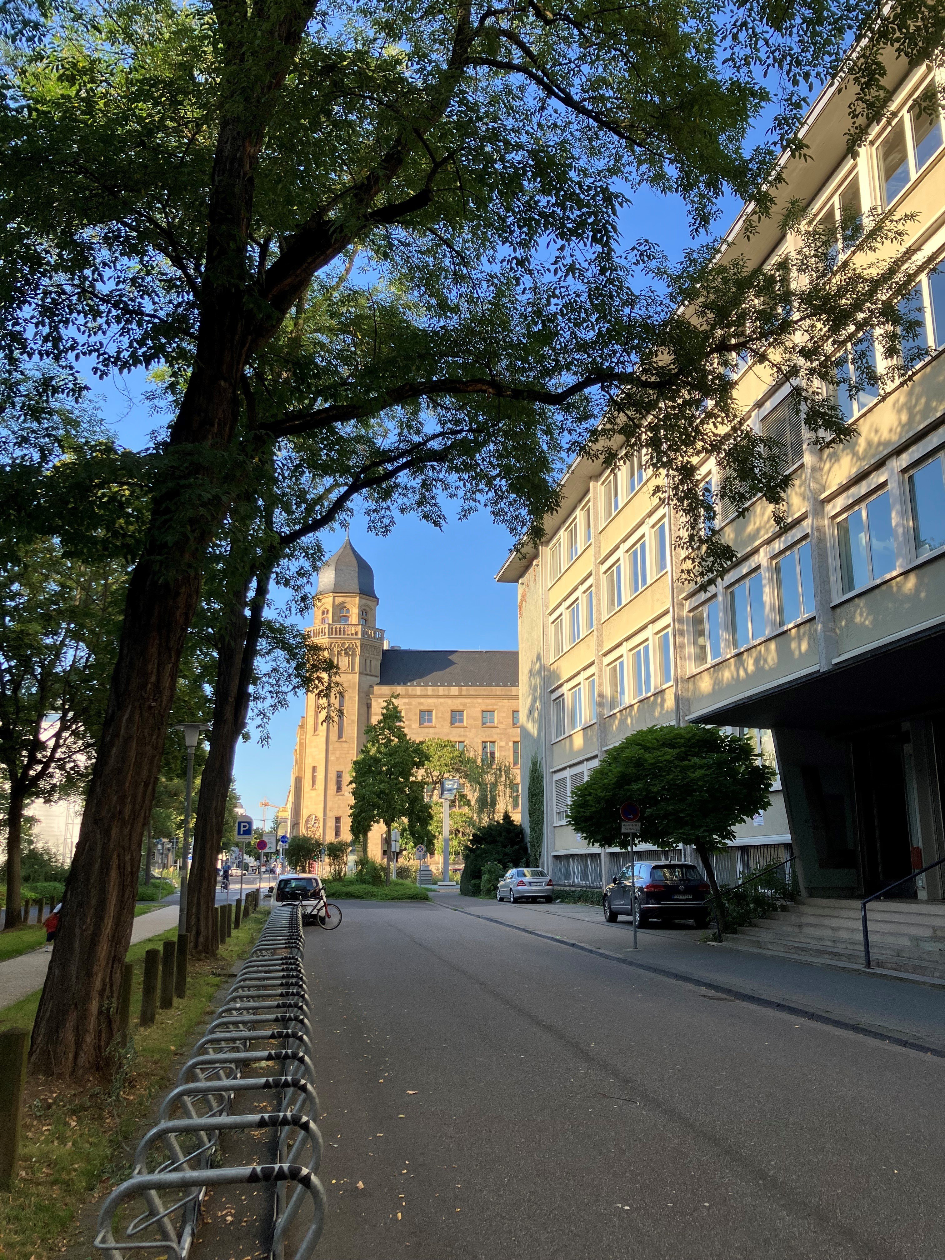 Das erste Baufeld befindet sich in der Höhe des Max-von-Laue-Gymnasiums in der Südallee.