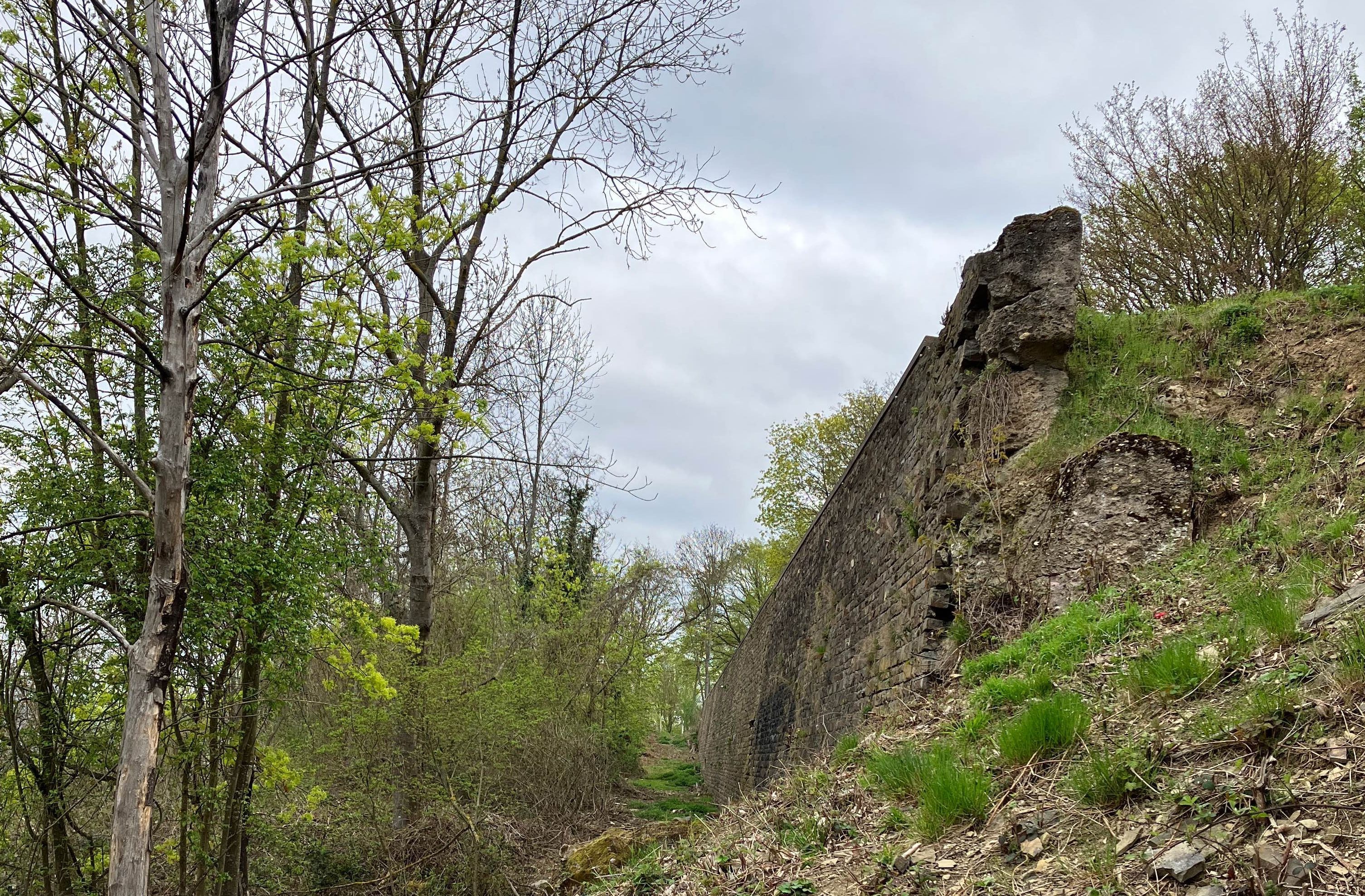 Eine Stützmauer im Grünen.