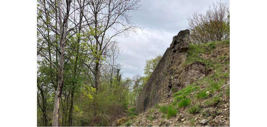 Eine Stützmauer im Grünen.