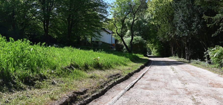 Ein Weg führt entlang eines Rasens.