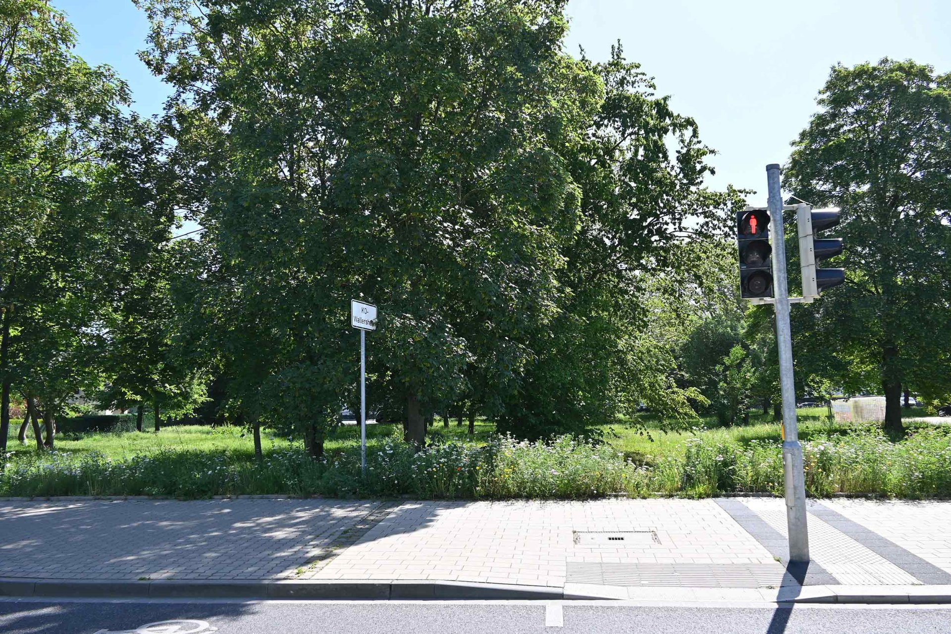 Auf dieser Fläche am Parkplatz des Friedhofs soll der erste Bauabschnitt des neuen Grünzugs vom Wallersheimer Weg bis zum Rhein entstehen. Beim Infospaziergang am 19. Juni werden die Planungen vorgestellt. Auf dieser Fläche am Parkplatz des Friedhofs soll der erste Bauabschnitt des neuen Grünzugs vom Wallersheimer Weg bis zum Rhein entstehen. Beim Infospaziergang am 19. Juni werden die Planungen vorgestellt.