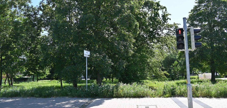 Auf dieser Fläche am Parkplatz des Friedhofs soll der erste Bauabschnitt des neuen Grünzugs vom Wallersheimer Weg bis zum Rhein entstehen. Beim Infospaziergang am 19. Juni werden die Planungen vorgestellt. Auf dieser Fläche am Parkplatz des Friedhofs soll der erste Bauabschnitt des neuen Grünzugs vom Wallersheimer Weg bis zum Rhein entstehen. Beim Infospaziergang am 19. Juni werden die Planungen vorgestellt.