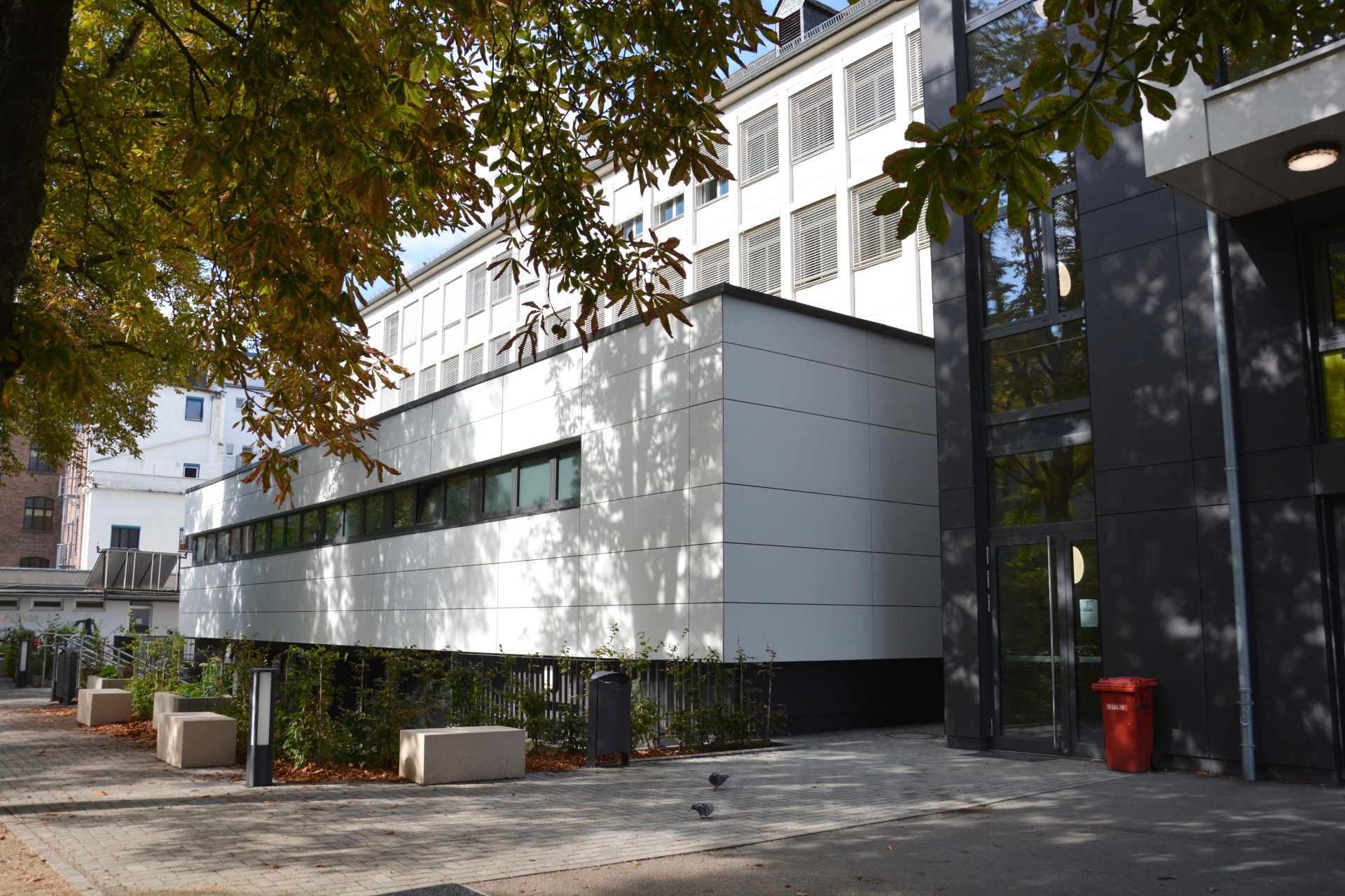 Außenansicht des fertiggestellten Umkleidetrakts an der Sporthalle des Hilda-Gymnasiums. Außenansicht des fertiggestellten Umkleidetrakts an der Sporthalle des Hilda-Gymnasiums.