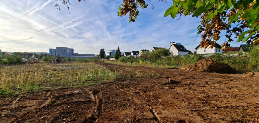 Ab Ende September wird mit der Erschließung des Geländes am ehemaligen Nutzviehhof begonnen. Ab Ende September wird mit der Erschließung des Geländes am ehemaligen Nutzviehhof begonnen.