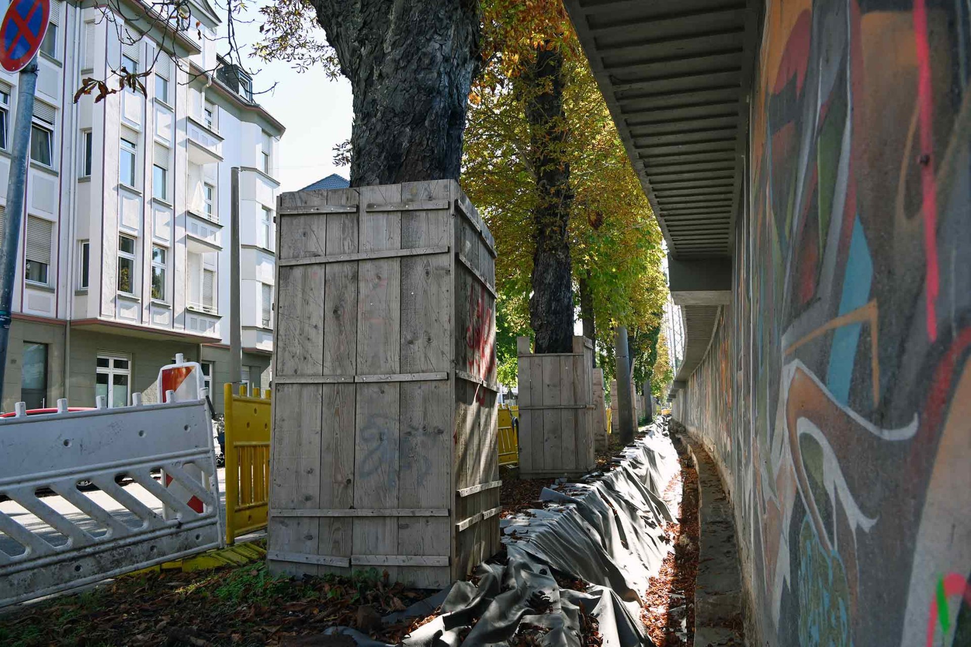 Die vorderen beiden Bäume müssen gefällt werden, da das neue Fundament für die Lärmschutzwand bis an den Stamm der Rosskastanien heranreichen würden.