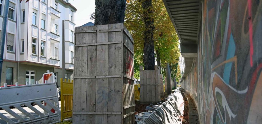 Die vorderen beiden Bäume müssen gefällt werden, da das neue Fundament für die Lärmschutzwand bis an den Stamm der Rosskastanien heranreichen würden.