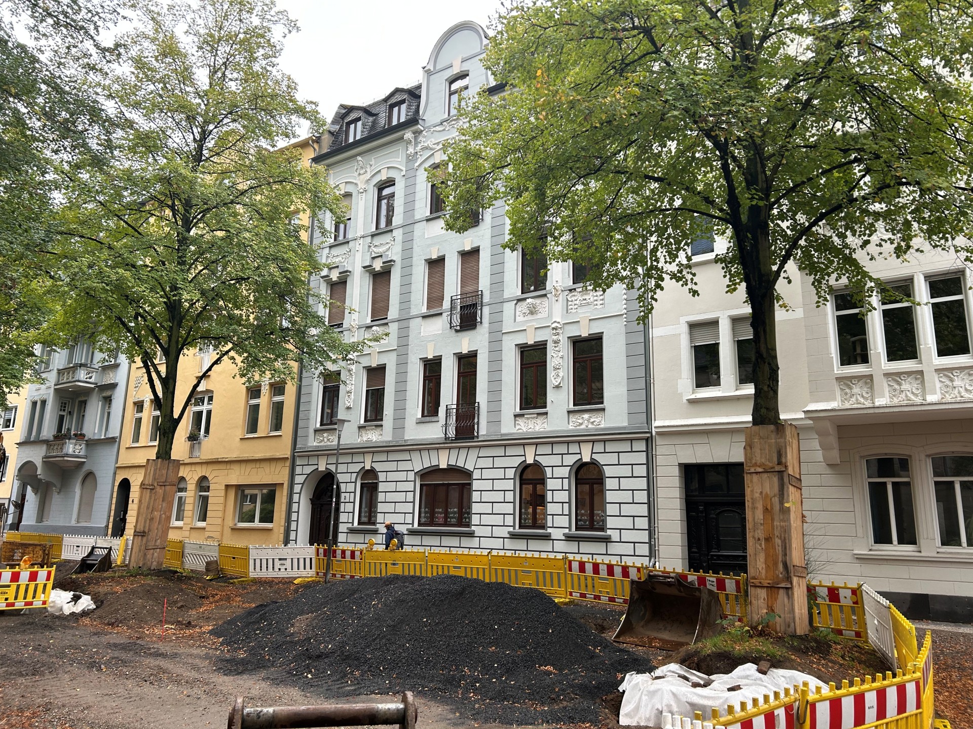 Zwei Bäume stehen inmitten einer Baustelle vor einem historischen Haus. Zwei Bäume stehen inmitten einer Baustelle vor einem historischen Haus.