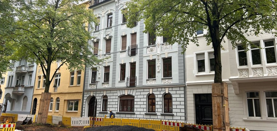 Zwei Bäume stehen inmitten einer Baustelle vor einem historischen Haus. Zwei Bäume stehen inmitten einer Baustelle vor einem historischen Haus.