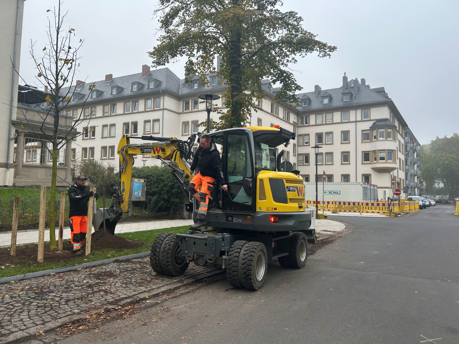 Bauarbeiter pflanzen mit einer Baumaschine einen Baum. Bauarbeiter pflanzen mit einer Baumaschine einen Baum.