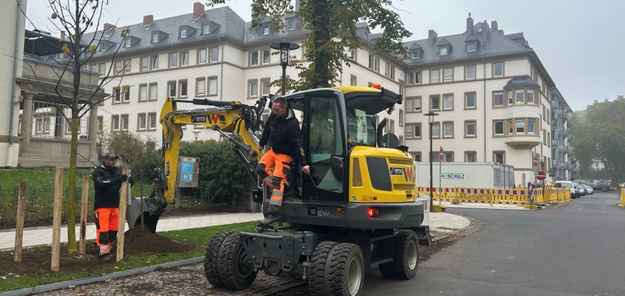 Bauarbeiter pflanzen mit einer Baumaschine einen Baum.